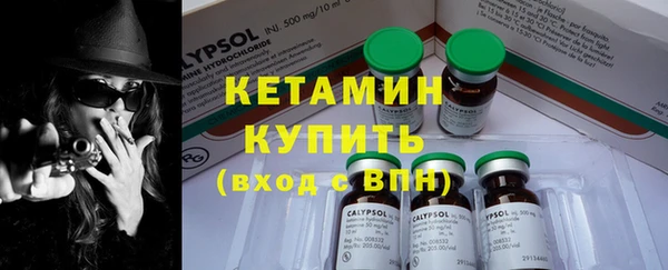 эйфоретик Пересвет