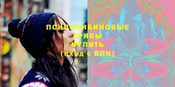 меф Переславль-Залесский